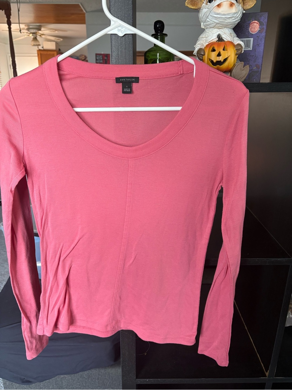 Ann Taylor Pink Long-Sleeve Scoop Neck Top
